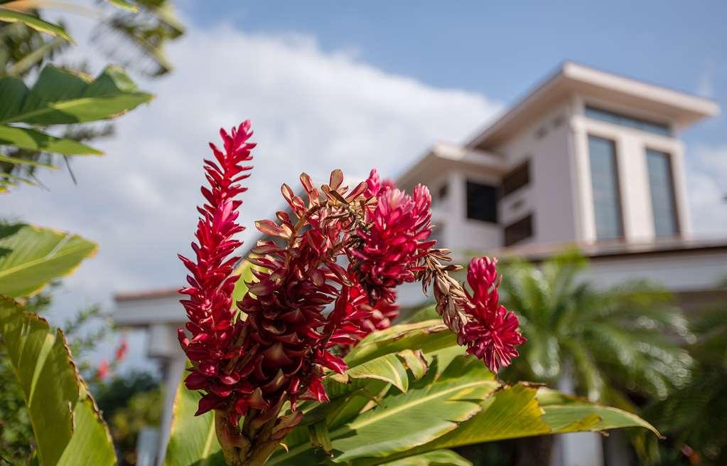קיהיי Maui Coast Hotel שירותים תמונה